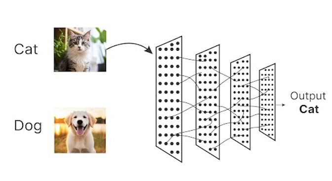 ResNet Architectures for Image Classification